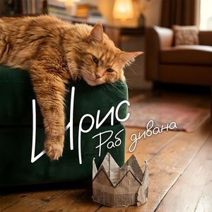 Я раб дивана!