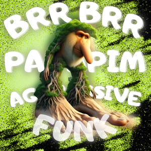 BRR BRR PATAPIM AGGRESSIVE FUNK (Ultra Slowed)