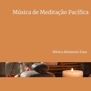 Gerenciamento de Stress