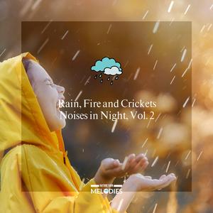 Urban Night Crickets