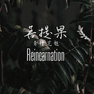 菩提果（Reincarnation）