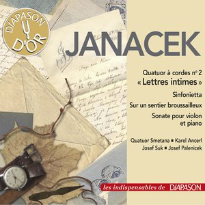 Sur un sentier broussailleux, Vol. 1, JW 8/17: VIII. Angoisse indicible (Andante - Poco mosso - Adagio) (1943 Recording)