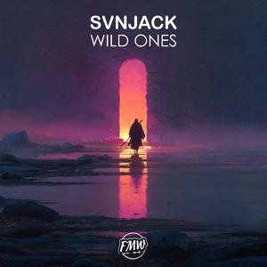 Wild Ones