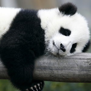 睡觉（Prod by 吴海杰Whj）