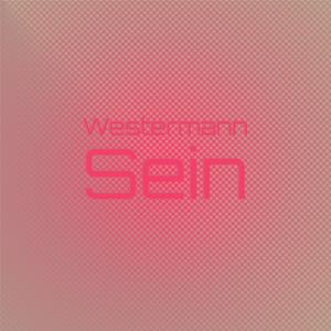 Fermanagh Belowdecks