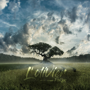 L'olivier (Officiel)