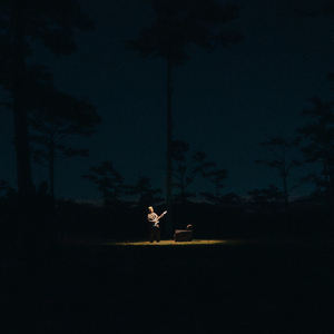 Chim Trời Cỏ Dại