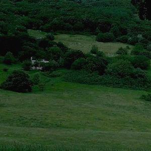 Dear my dog (Lofi ver.)