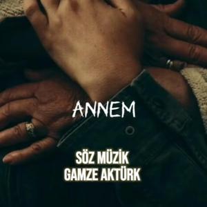 Annem hiç gitmemişsin gibi