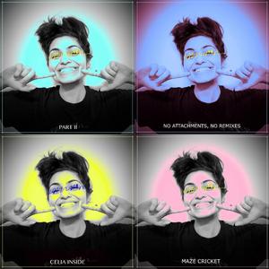 No Attachments (You) (Maze Cricket Remix)