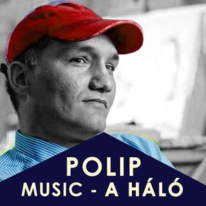 A polip karjai