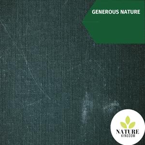 Northern Flicker Call