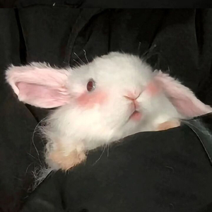 下雨的时候会想你