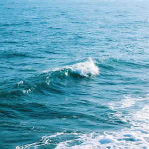 把风景坐满