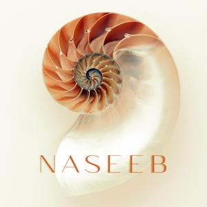 NASEEB (Ghazal)