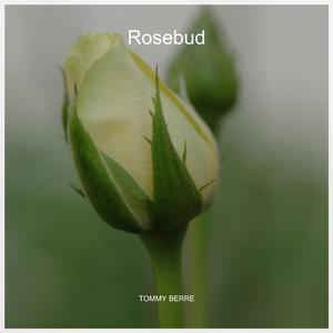 Rosebud