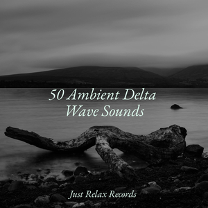 Forgotten Murmurs of Illusion