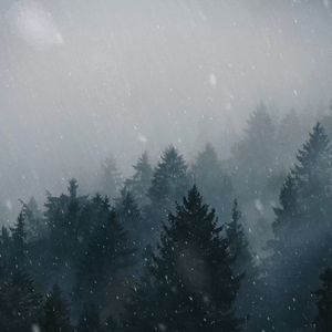 伏线.wav（翻自 赵揭康）