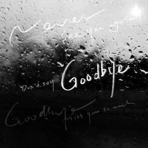 沈园外（DJ版）