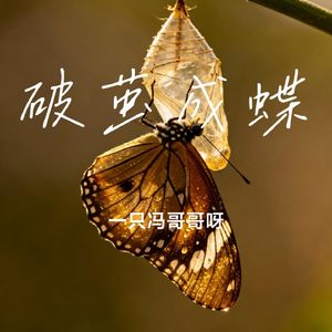 破茧成蝶