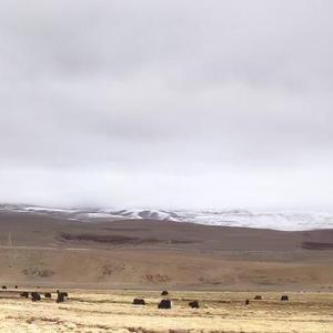 有多少爱可以重来