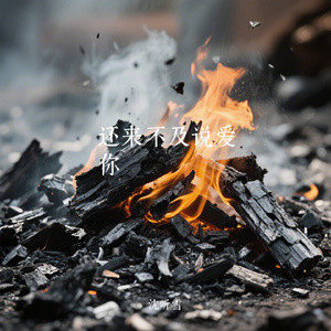 还来不及说爱你