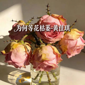 为何等花枯萎