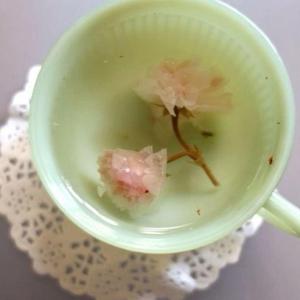 scribblenauts and tears