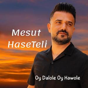 Oy Dalole Oy Hawole