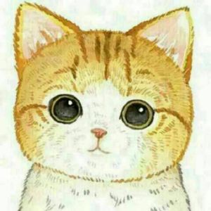 All is found（翻自Evan Rachel Wood）