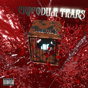 鳄鱼泪（Prod.Raymone）