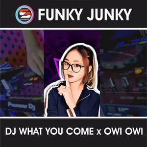 DJ What You Come x Owi Owi - Inst