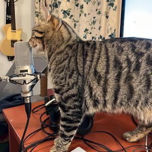 Just Waiting For The Rain