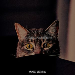 一尘不染小猫印象数