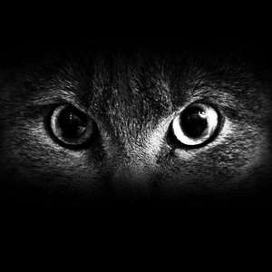 现 象（Prod by PREMISE）