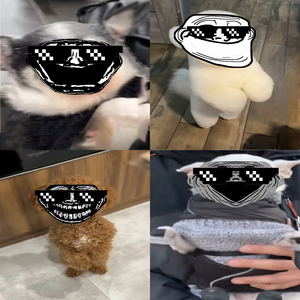 Huculkapuculka PHONK (Slowed)