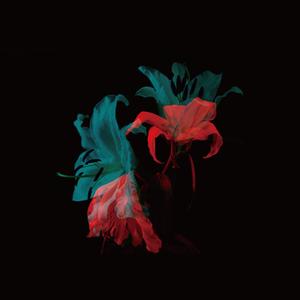 你拿了把刀，去了场枪战