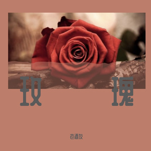 玫瑰（翻自 贰佰）