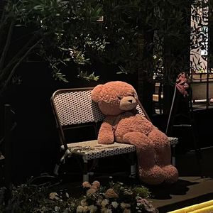 断联