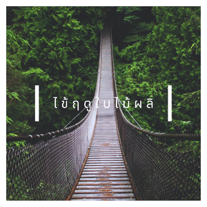 ไข้ฤดูใบไม้ผลิ