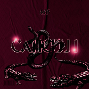 Cancelli