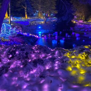 想你的夜又回到最初的起点