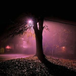 我特别讨厌自己