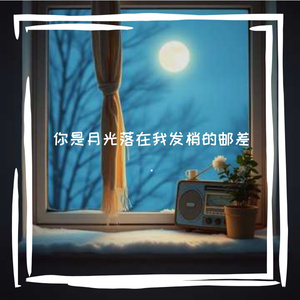 你是月光落在我发梢的邮差