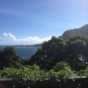 Find a Way, Stay in the Groove