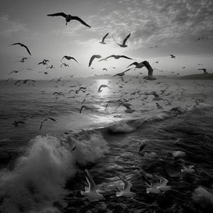 千逐时迁（Cover：Evan C/陌雨辰）