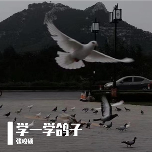 学一学鸽子