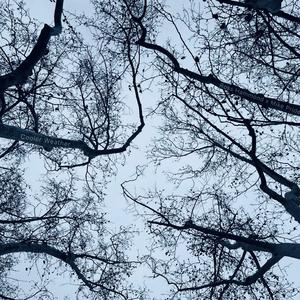 Hardline (feat. Mike Pride)