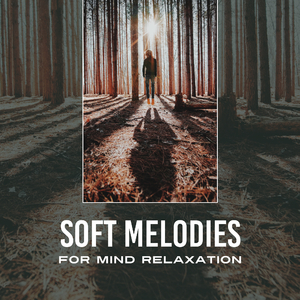 Melodies to Meditate