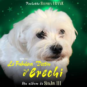 メンヘラ (menhera) (feat. C.H.E.F. Shua)